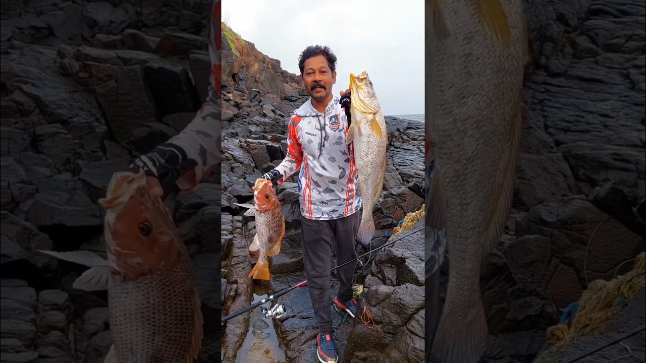 घोळ आणि लासे माशाची रॉडने🎣 केलेली🐟 मासेमारी #fishingmystery #fishing #रत्नागिरी