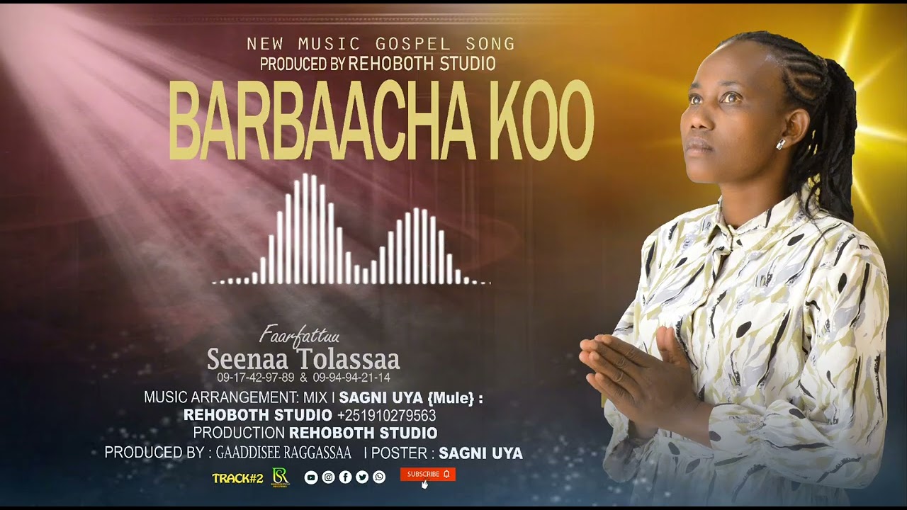 Seenaa Tolassaa (Barbaacha Koo)