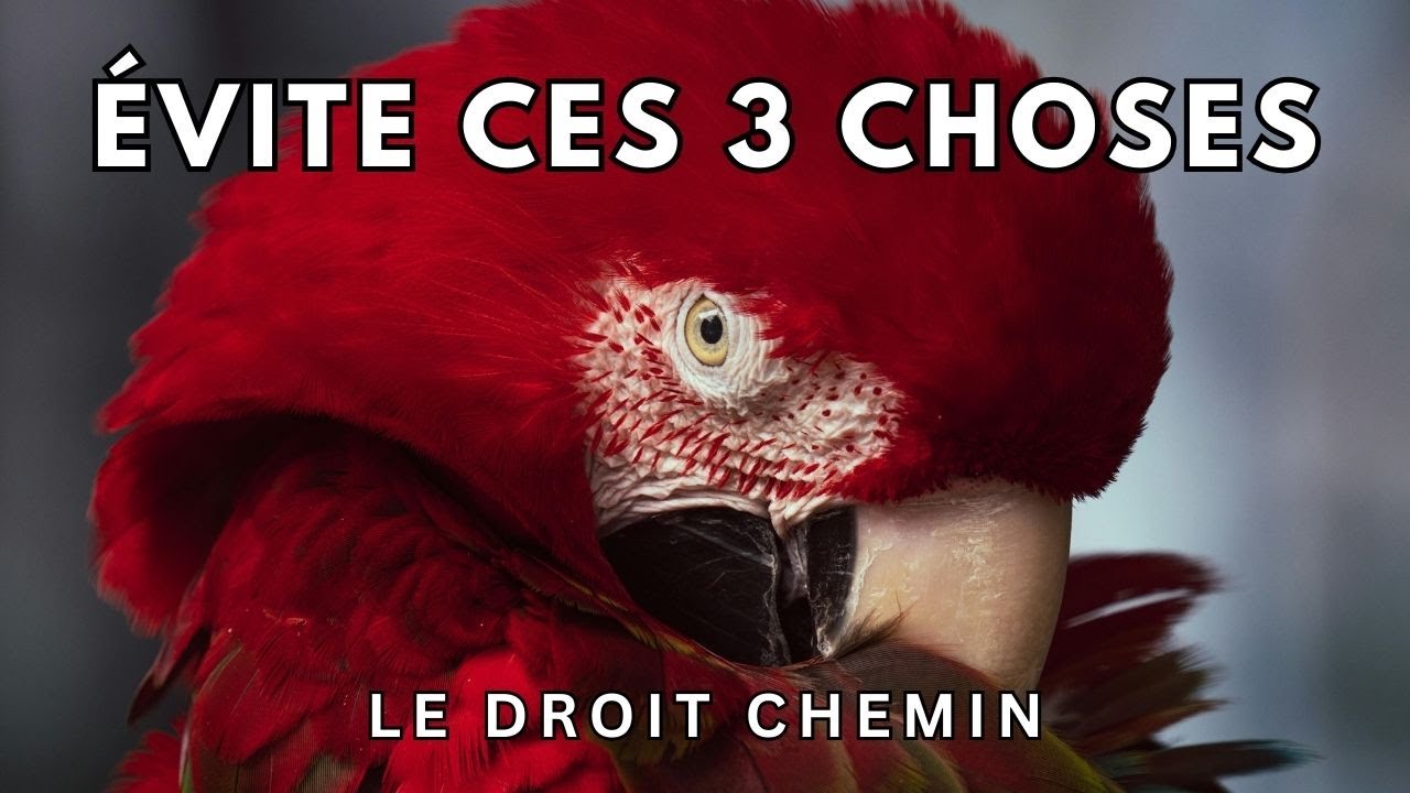 Évite ces 3 choses - Le Droit Chemin