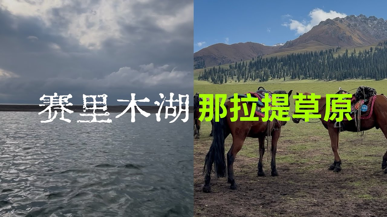 新疆赛里木湖不输给新西兰特卡波湖（免费）？那拉提只去空中草原就够【vlog episode 4】Lake Sayram or Tekapo ? Nalati Grassland ☑️