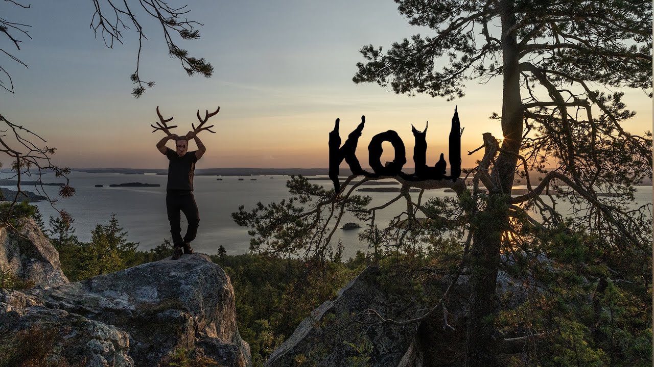 Views from Koli 2024 | #luontokuvaus #suomenluonto #naturephotography