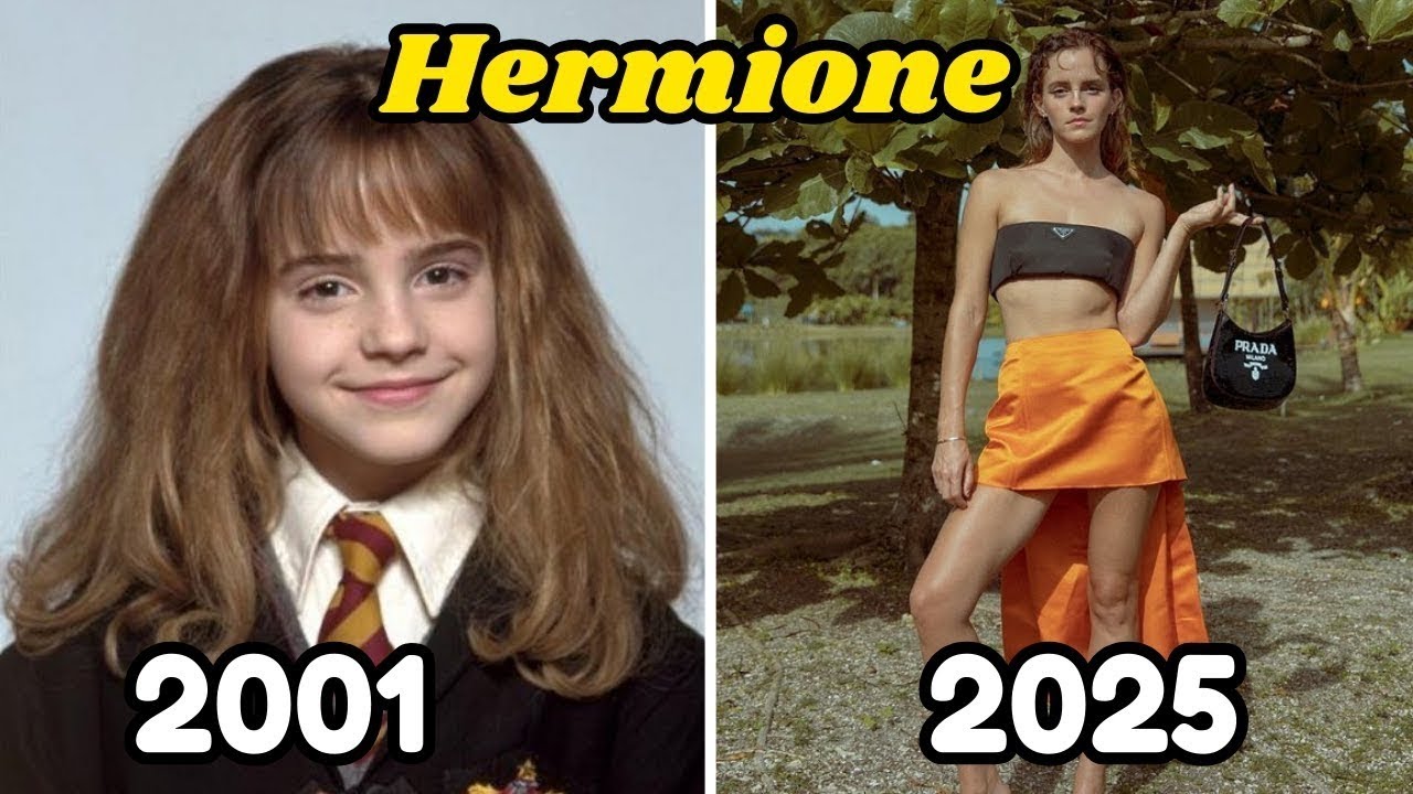 Harry Potter Cast in 2025 | Then vs Now