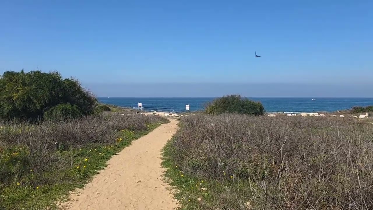 Walking by the Sea During Difficult Times. Waves,Flowers