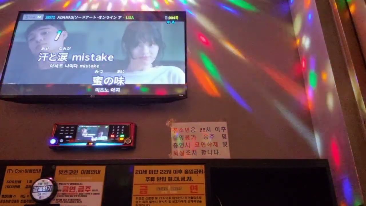 [노래방 Cover] ADAMAS　 - LiSA