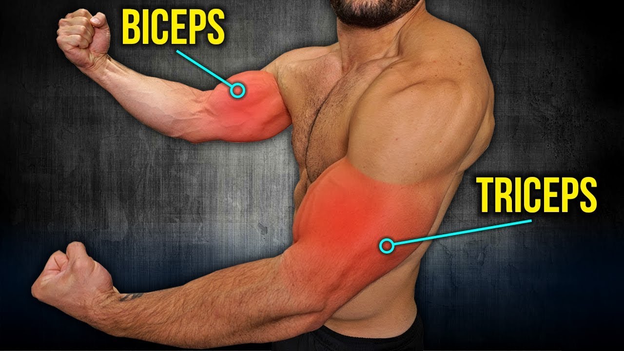 6min Home BICEPS and TRICEPS Workout (DUMBBELL ARM WORKOUT!!)