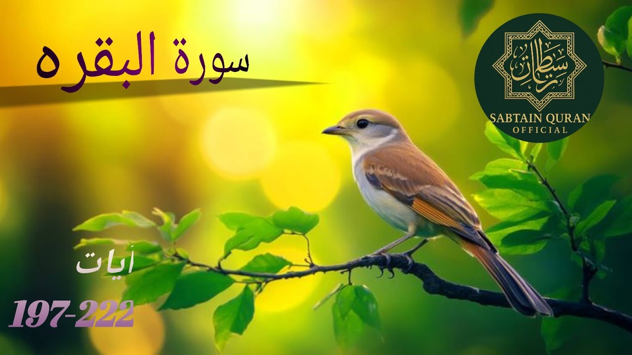 Surah Al-Baqarah | Full Quran Recitation | Peaceful Tilawat ///