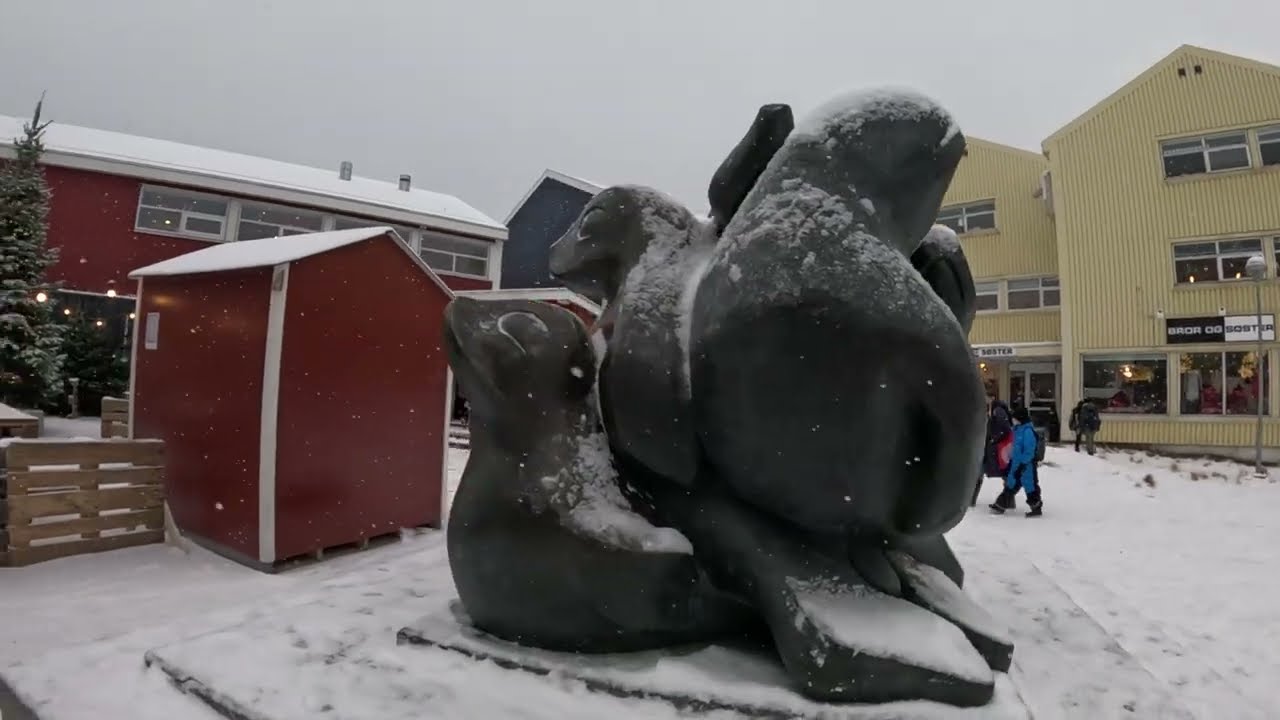 Walk around a street of Nuuk, Greenland