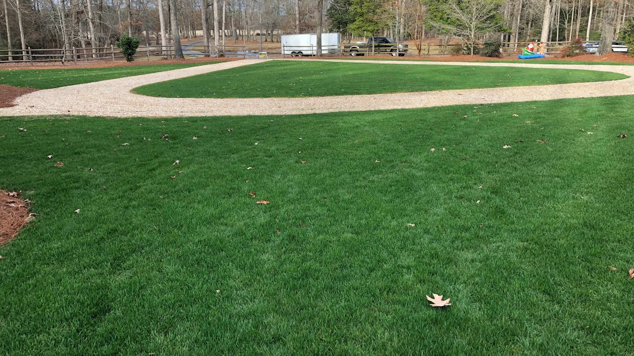 Brown Patch Prevention for Tall Fescue