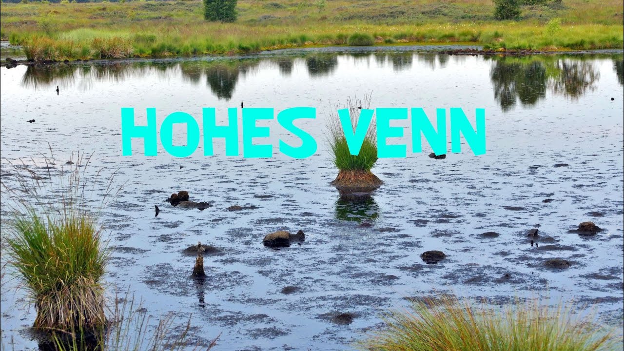 BELGIEN HOHES VENN  30.07.2022