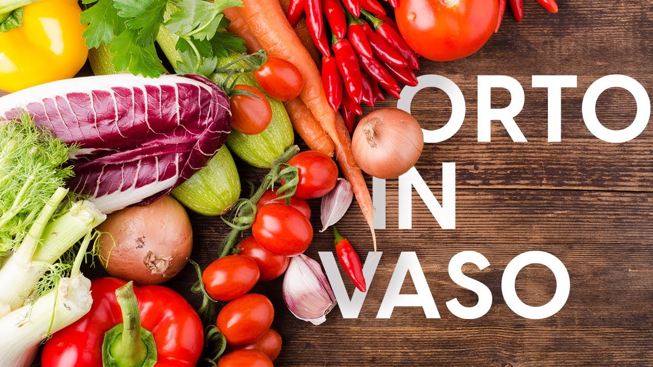 Come coltivare un orto in vaso sul balcone in poche semplici mosse 🍅