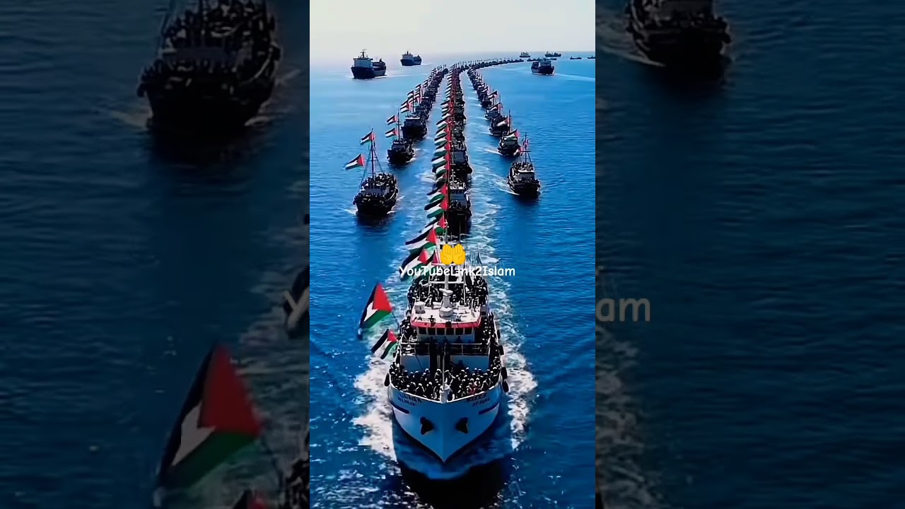 Zinda Kome ki Mesal#travel#gaza#floredelille