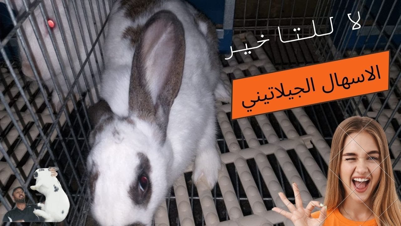 الاسهال الجيلاتيني