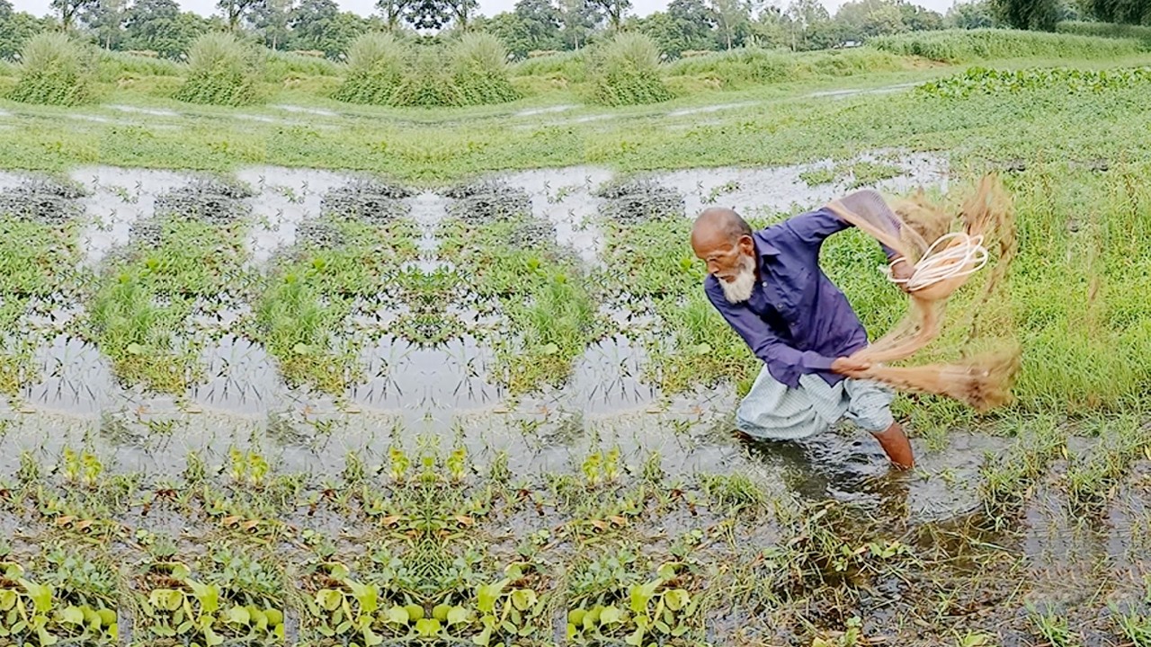 Best Net Fishing Skill - Traditional Village Fisherman’s Big Catch - Unbelievable Net Fishing Video