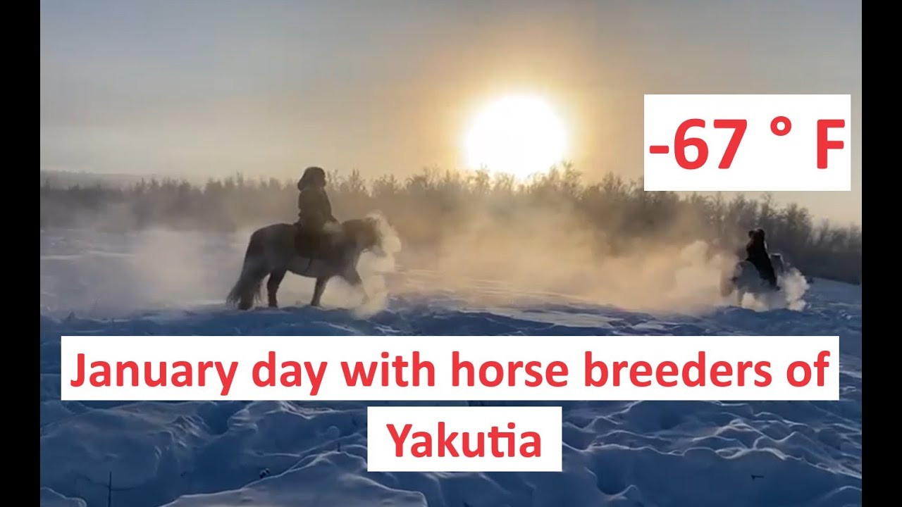 The January day with horse breeders of Yakutia