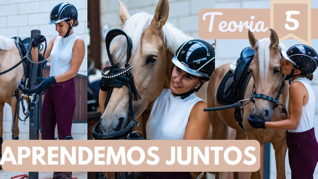 Medidas ponis 🐴, limpieza material, poner la manta, partes del casco