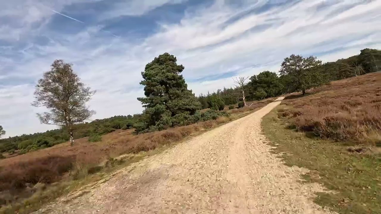 Gravel Veluwezoom en hoge veluwe. 6 oktober 2024
