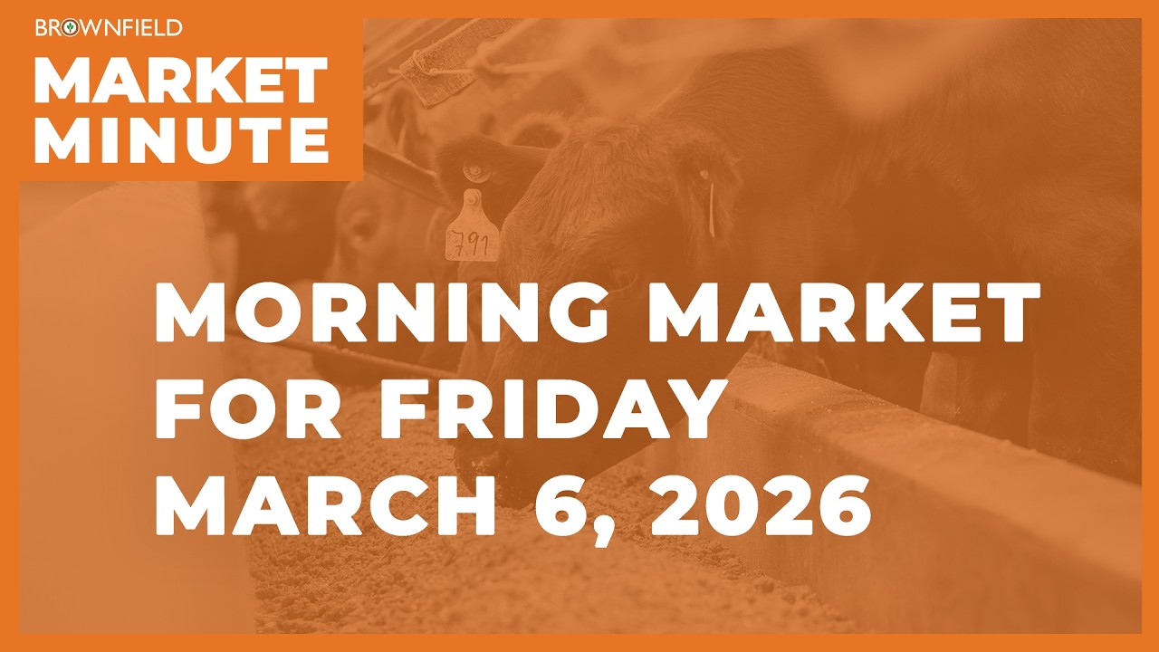 Soybeans were higher overnight | Morning Market Minute