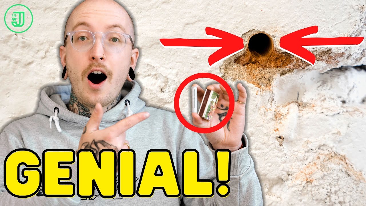 DAS solltest du unbedingt &uuml;ber D&Uuml;BEL wissen! | Jonas Winkler