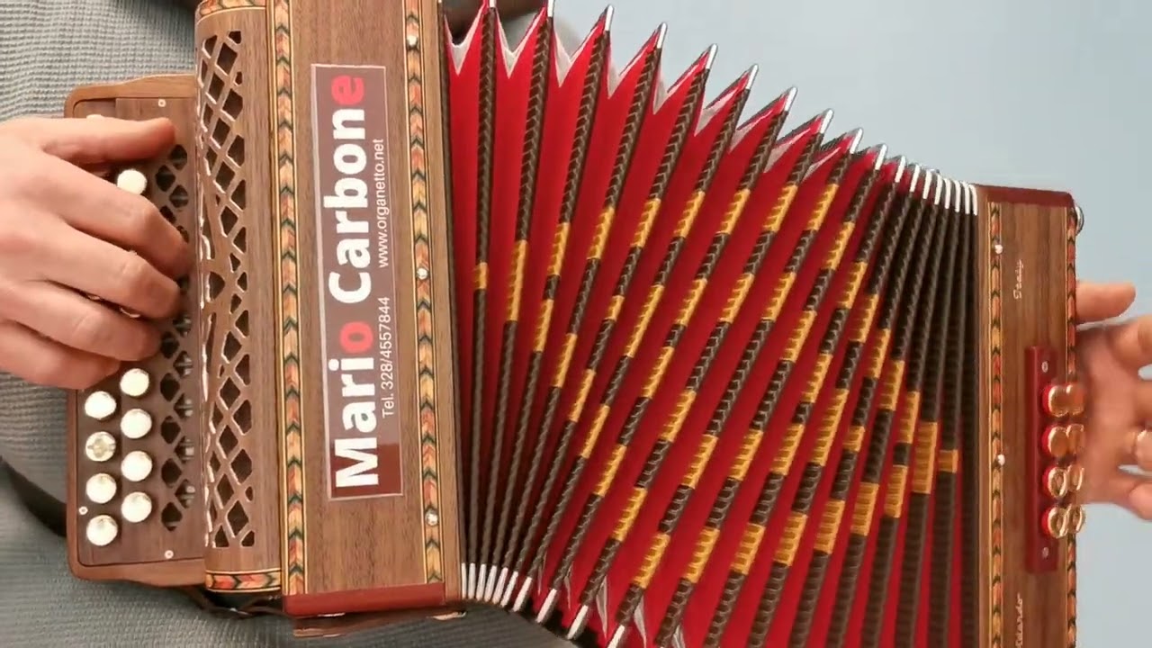 8 bassi - TU VUO FA L' AMERICANO - Brano - Accordion diatonic - organetto