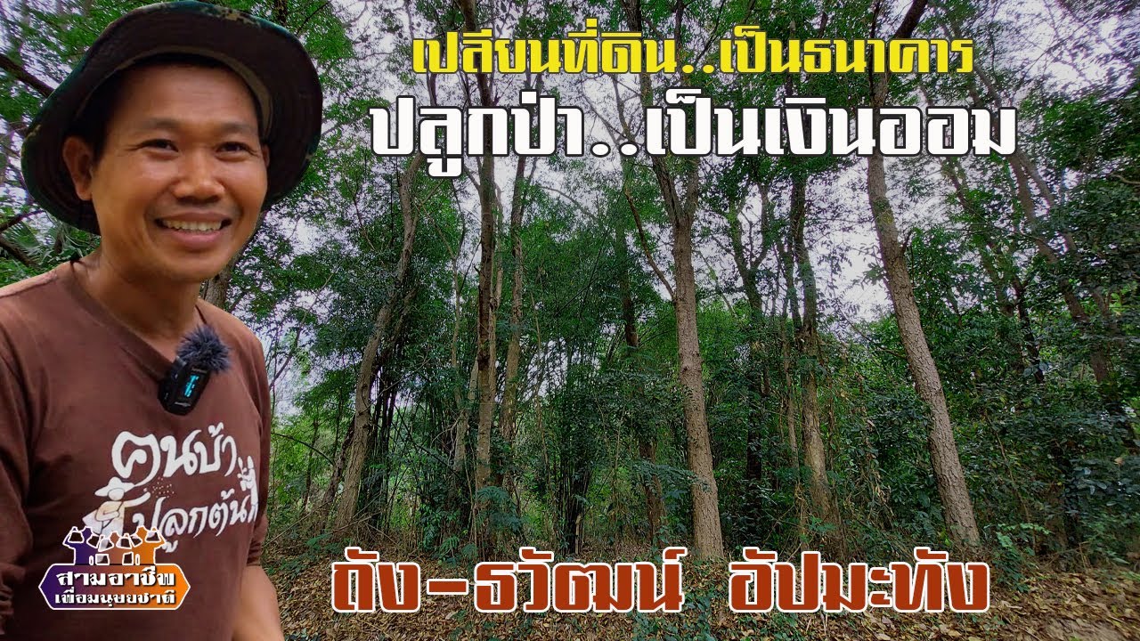 เปลี่ยนที่ดิน..เป็นธนาคาร