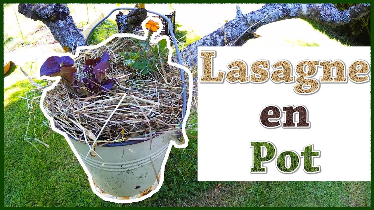 Légumes en pots (permaculture)