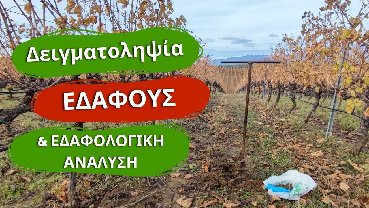 Δειγματοληψία Εδάφους & #Εδαφολογική_Ανάλυση | Πως, Πότε & ΓΙΑΤΙ; #αμπελι #thegreekvineyard