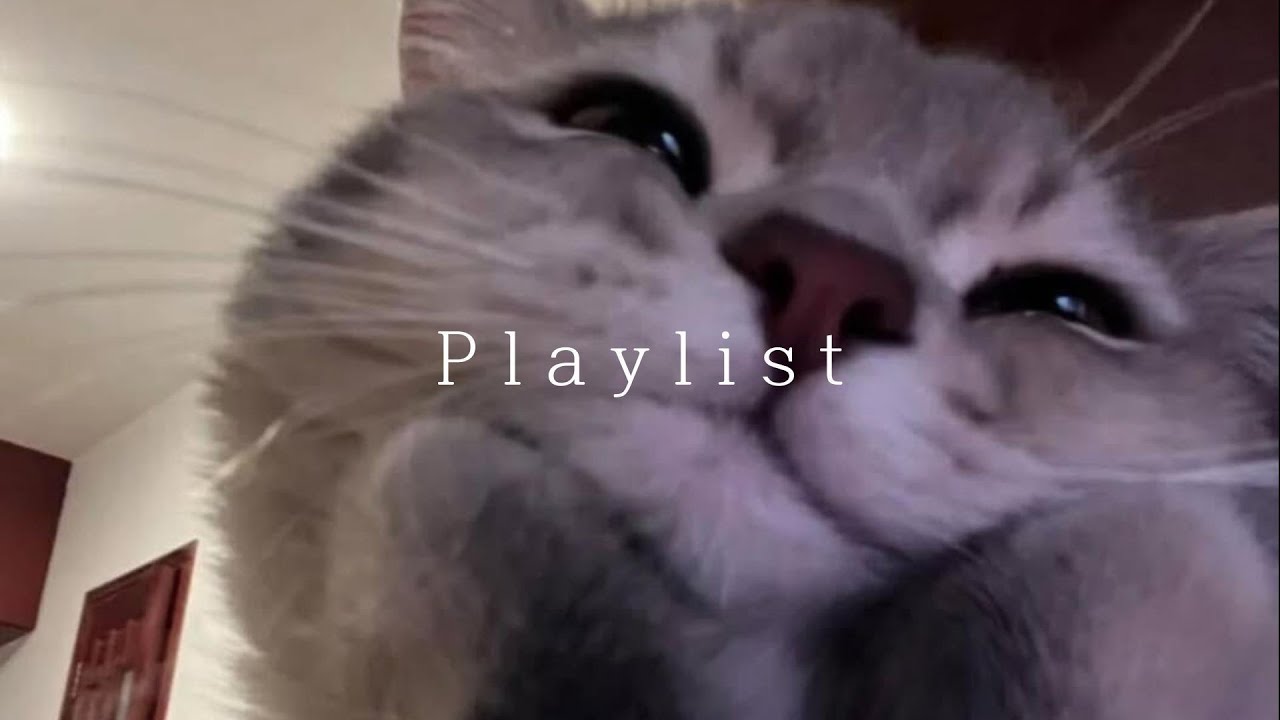 𝐏𝐥𝐚𝐲𝐥𝐢𝐬𝐭 릴스 넘기다 멈춰서 듣게 된 플리 🤍 |  chill r&b · study & relax