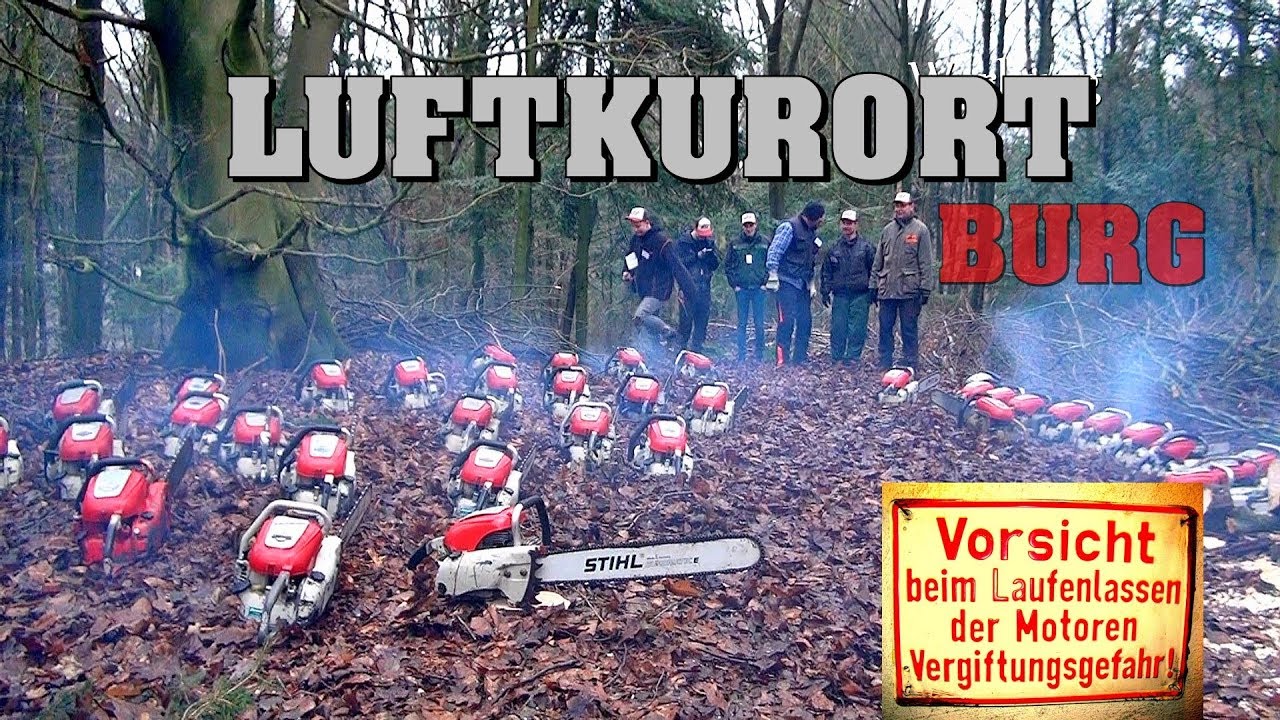 Kettensägen Treffen Schleswig Holstein - Luftkurort Burg # STIHL Contra Teil 3/6