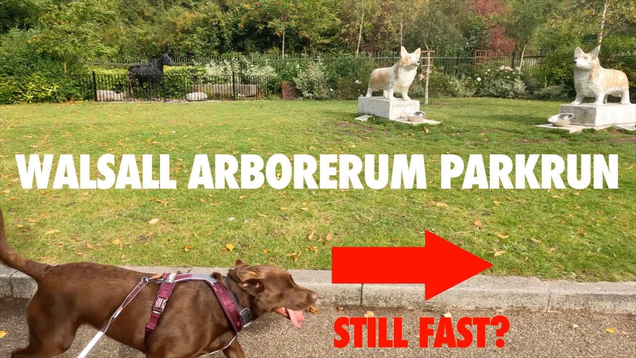 Обзор изменений в забеге parkrun в Уолсолл-Арборетуме