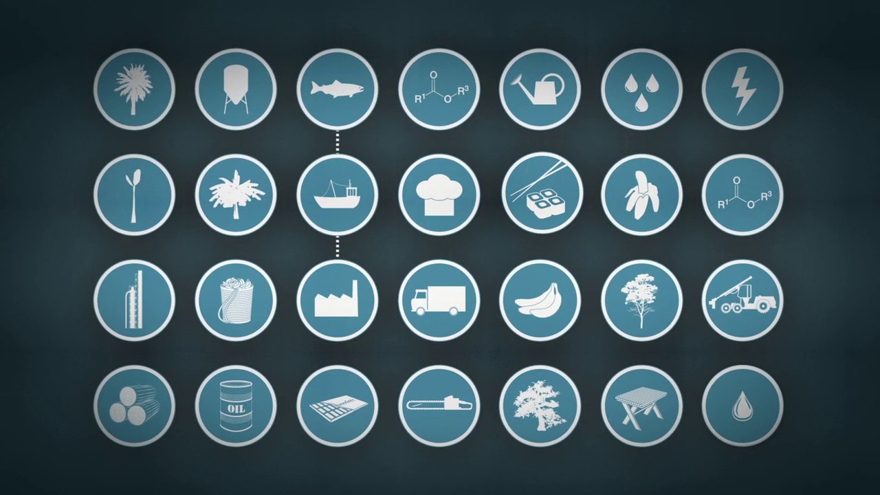 GIZ: Effective Chain of Custody and Traceability