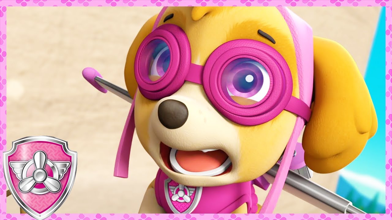 Scary Skye Moments! (Compilation) | Skye - Paw Patrol & Friends | Cartoons For Kids