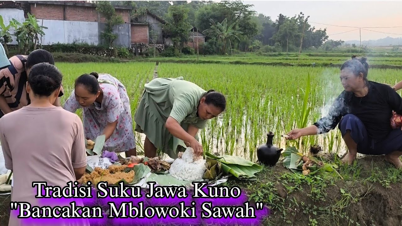 Antara Adat & Agama Inilah Tradisi Suku Jawa Kuno Setelah Bertanam Padi Di Sawah 