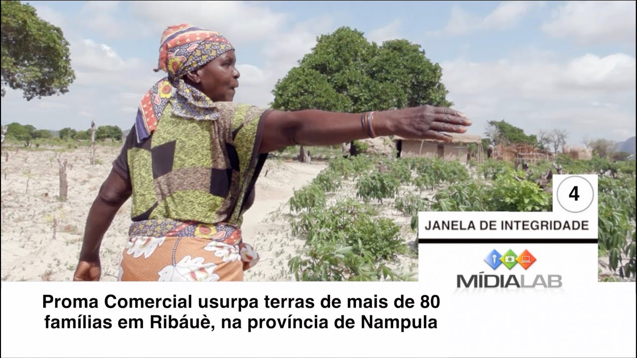 Proma Comercial usurpa terras de mais de 80 famílias em Ribáuè, na província de Nampula