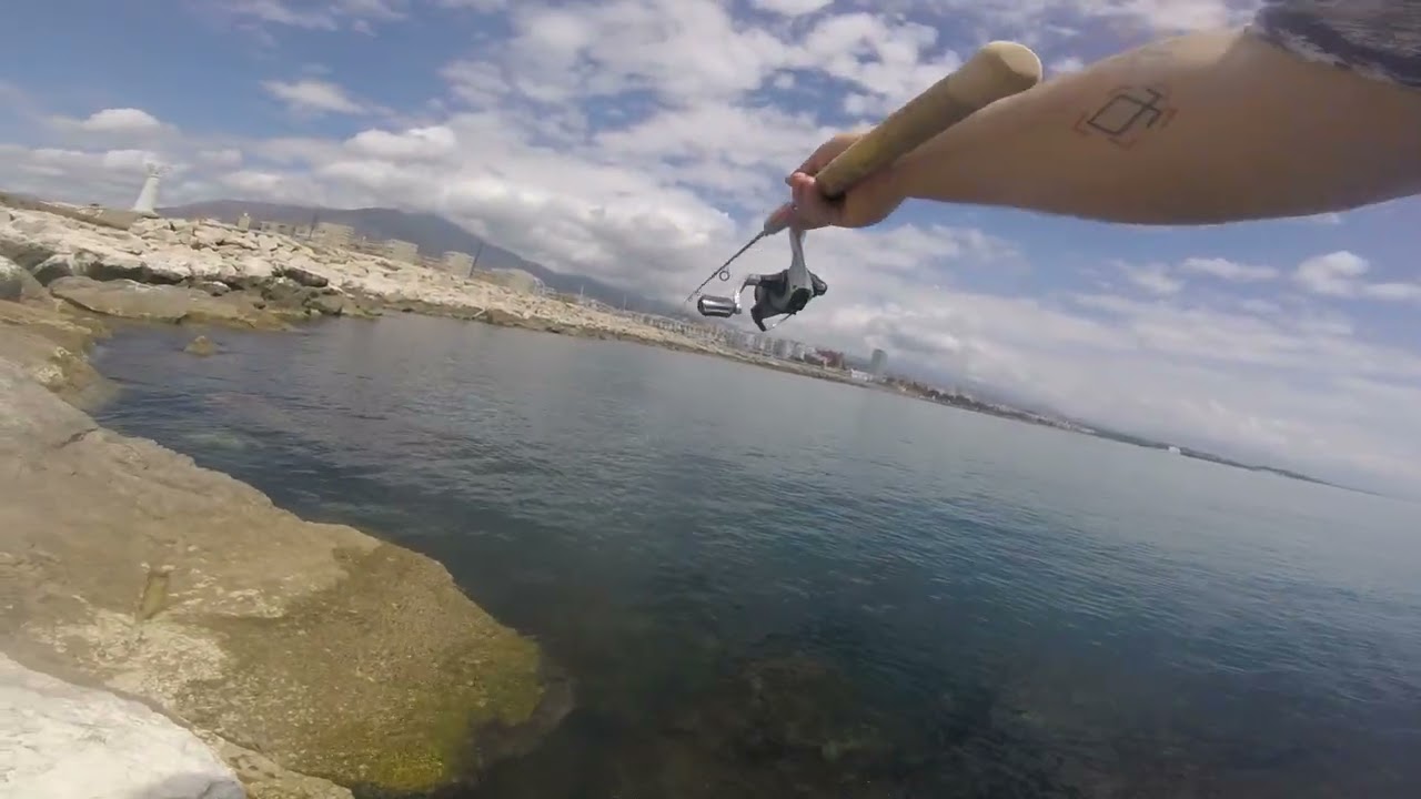 Rock Fishing Estepona port 2025 (first video)