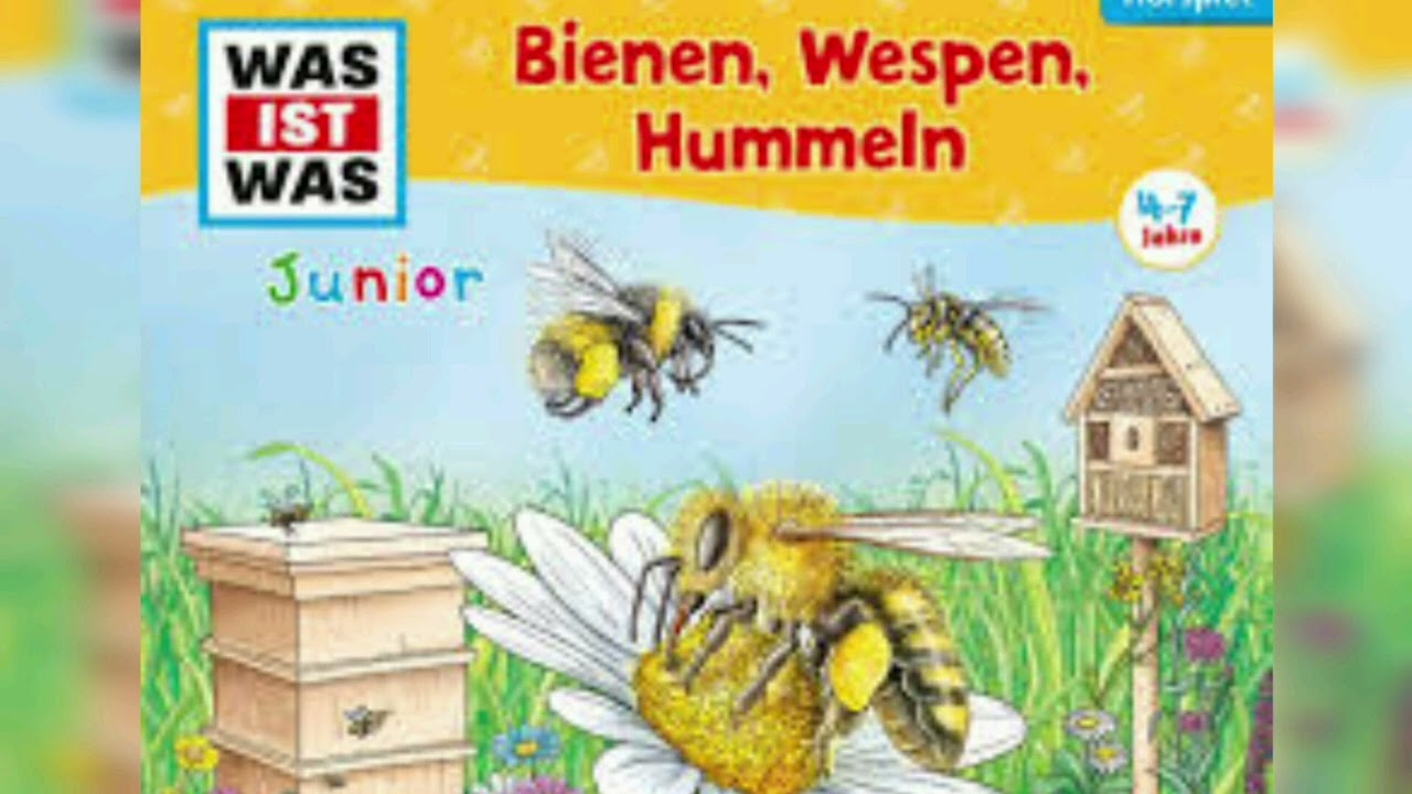 Bienen🐝,Wespen,Hummeln /Antolin Geschichten/Gute Nacht Geschichten 😉🎇