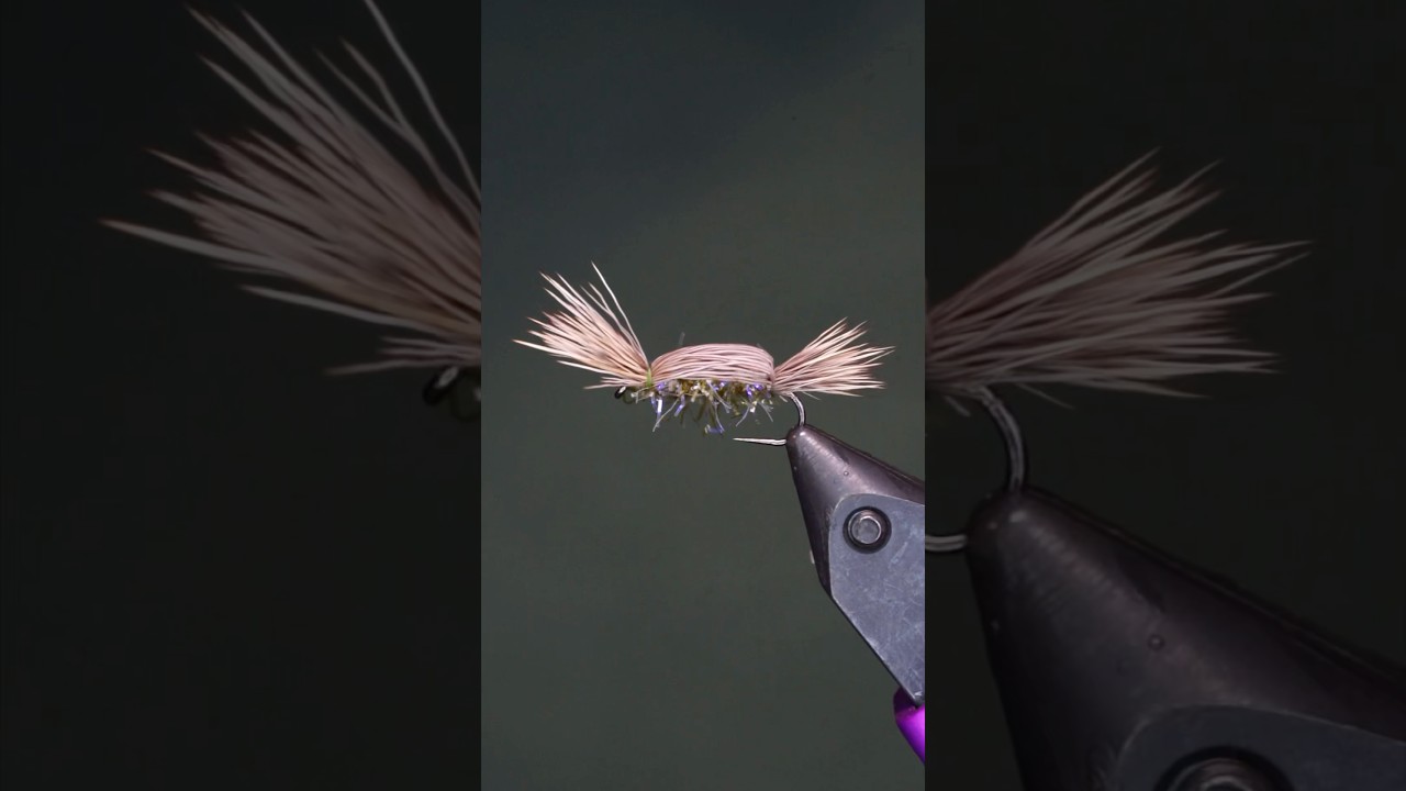 Top Stillwater Fly Patterns: Straggly Tom (Tom Thumb Variant) #flyfishing #troutfly #sedgefly