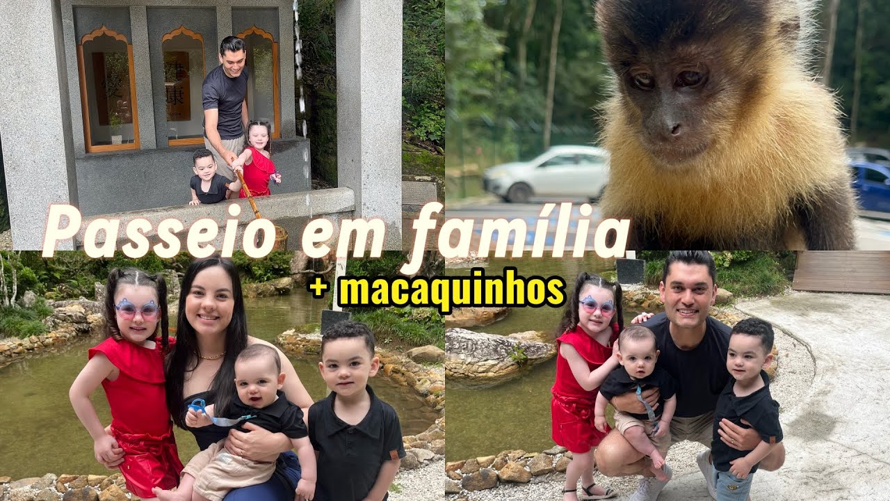 Levamos as Crianças para Ver os Macaquinhos e eles amaram! ❤️