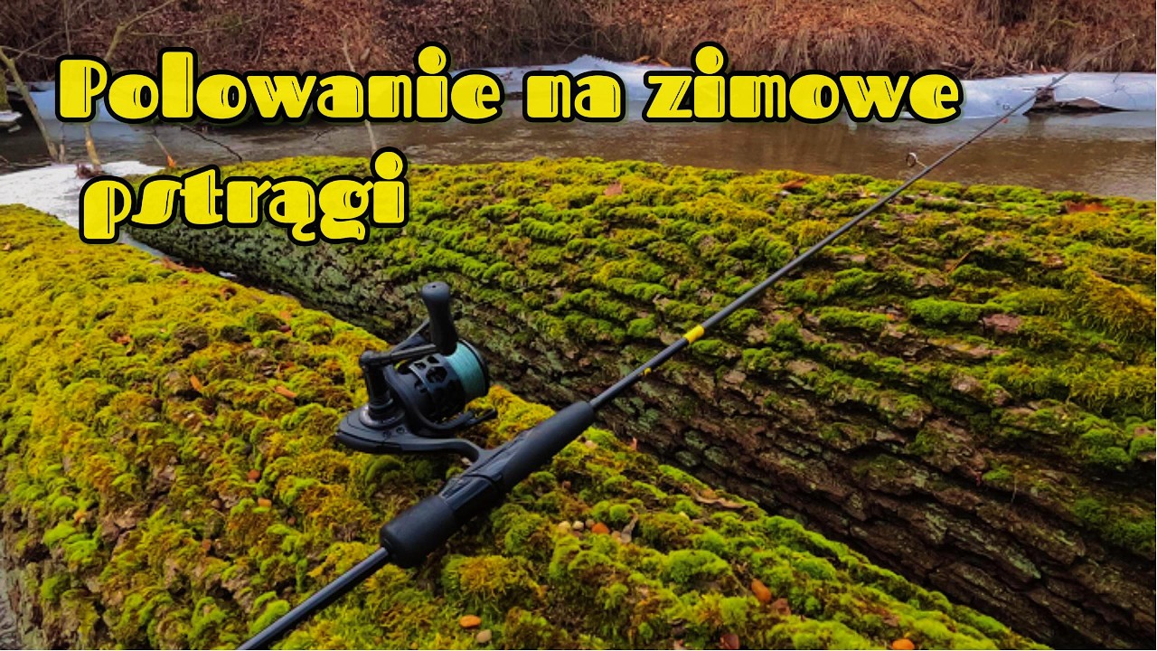 Spotkanie z Kormoranem i polowanie na zimowe pstrągi