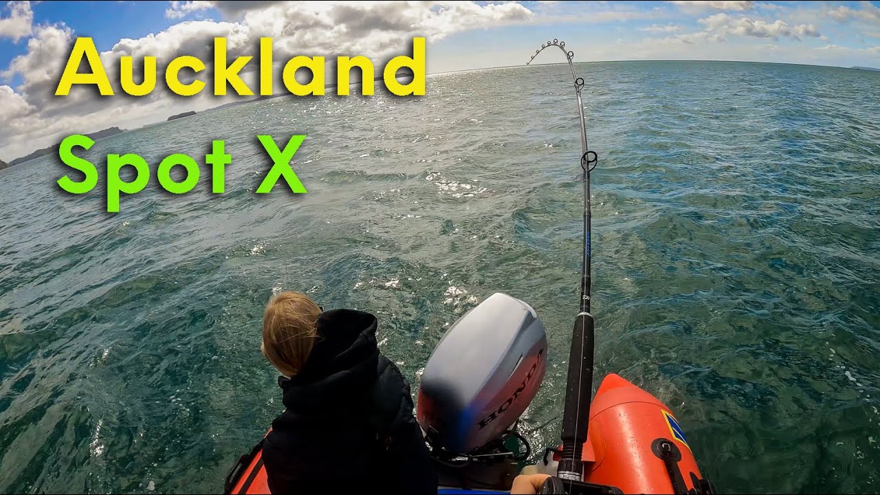 Auckland bait fishing delivers at my Spot X