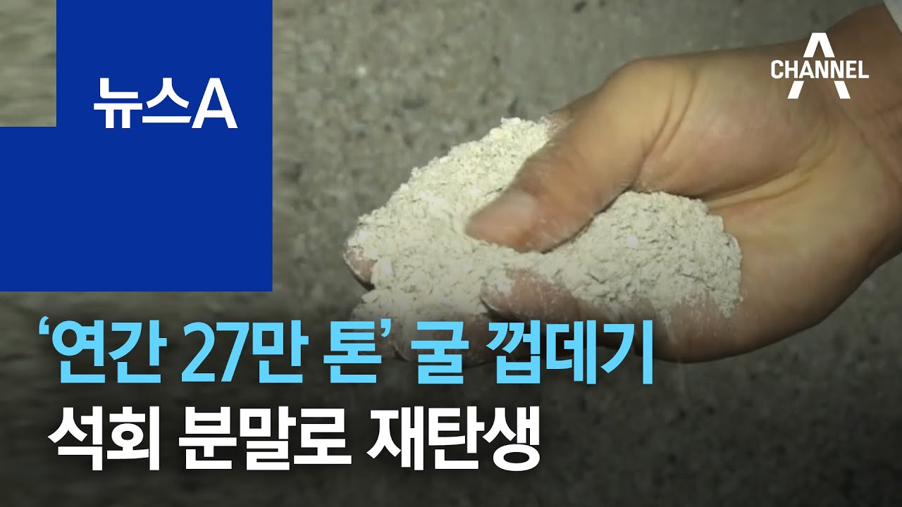 &lsquo;연간 27만 톤&rsquo; 굴 껍데기, 석회 분말로 재탄생 | 뉴스A
