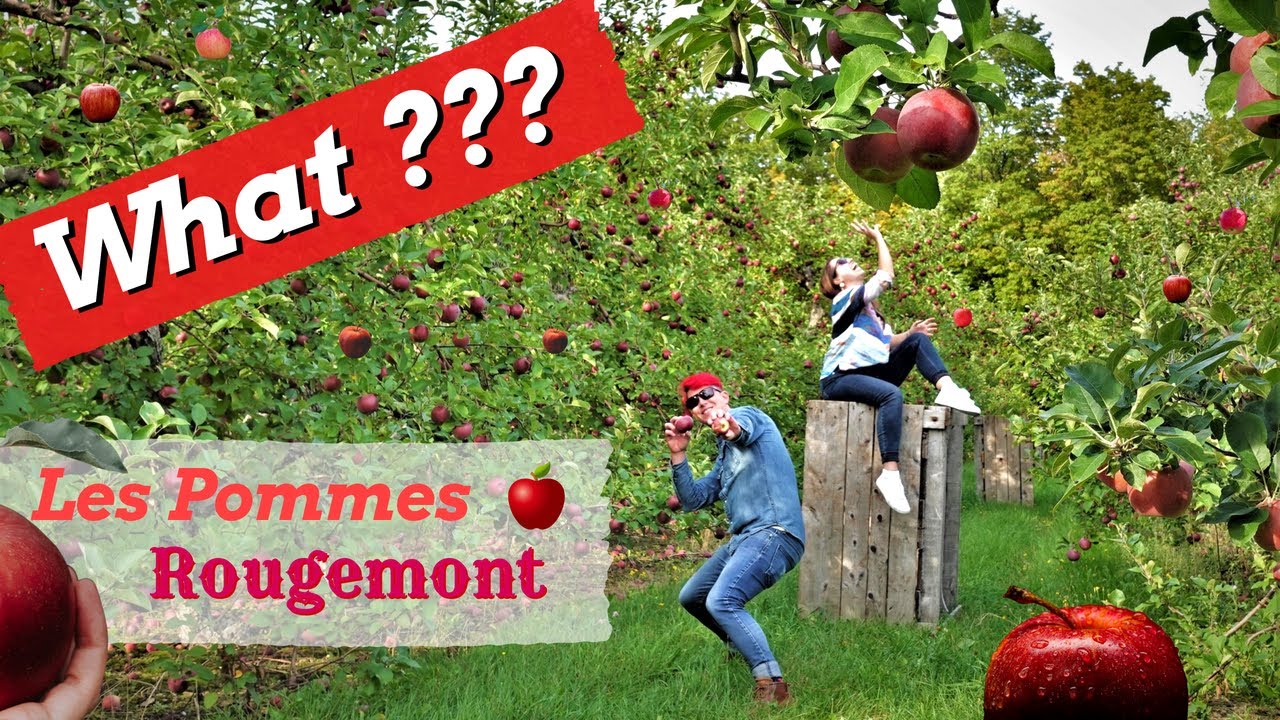 Rougemont / Visite des vergers et cidreries, Milton, Jodoin / vignoble Quebec