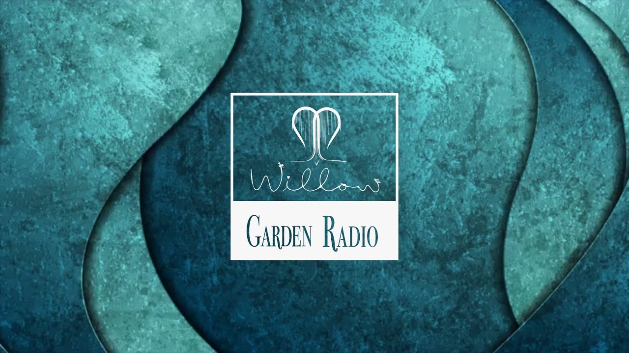 Music for Creativity and Background