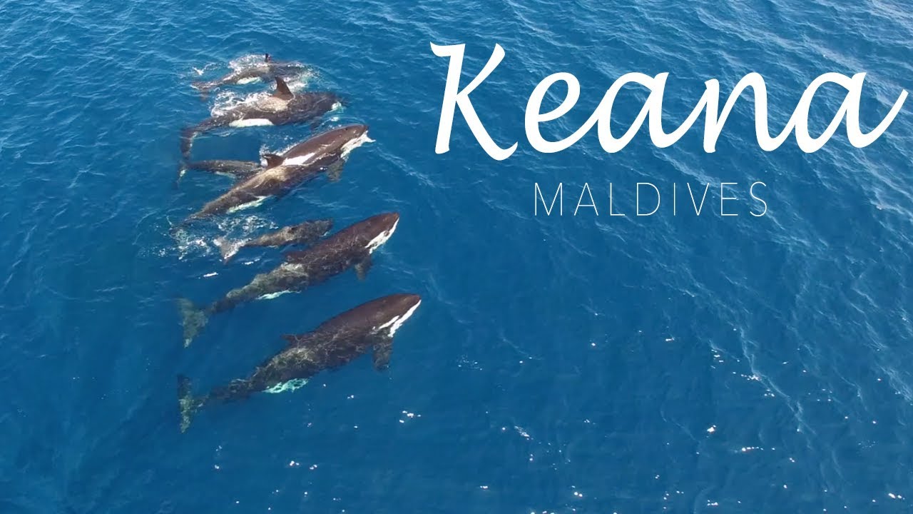 Orcas Maldives Keana Liveaboard
