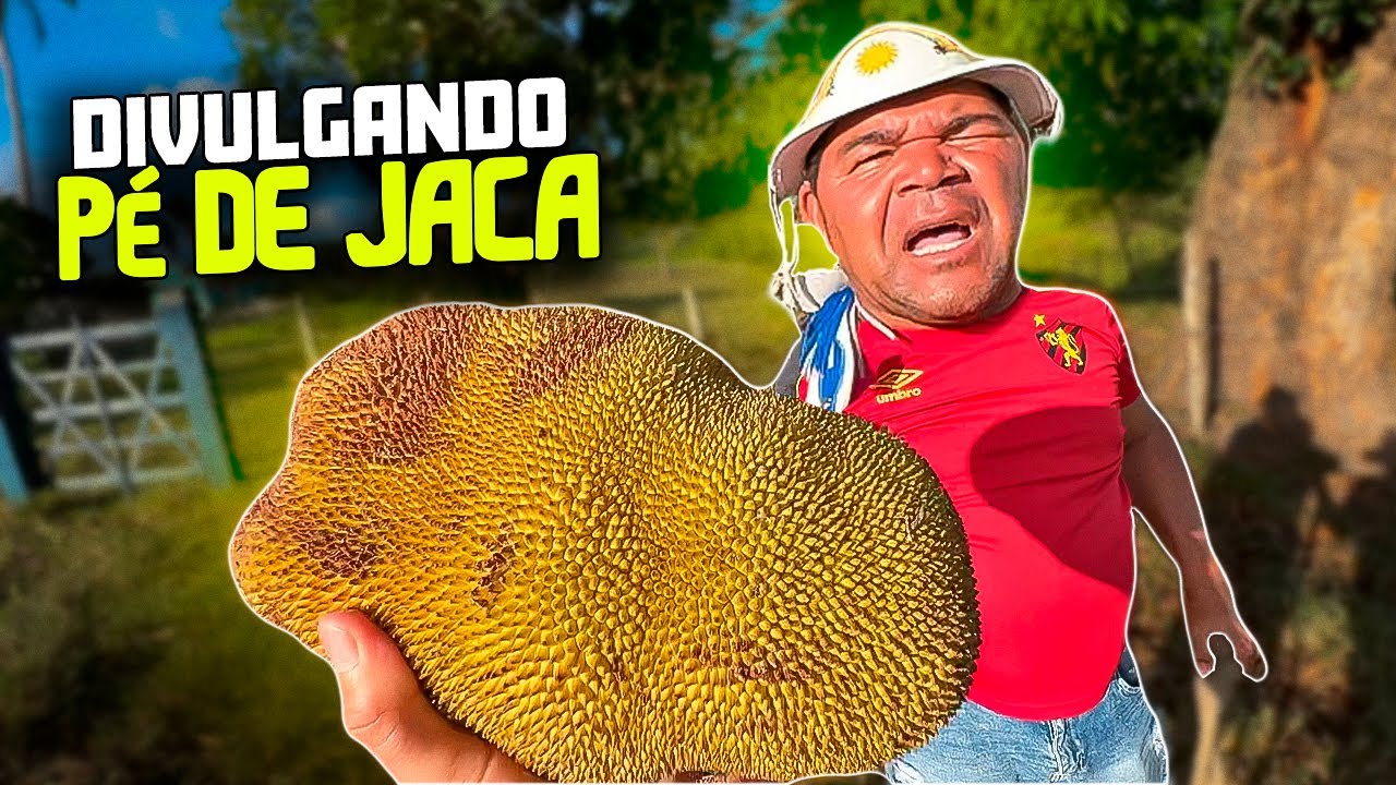 ERIK LEVOU GALO CEGO PARA DIVULGAR UM PÉ DE JACA 🤣| GALO CEGO