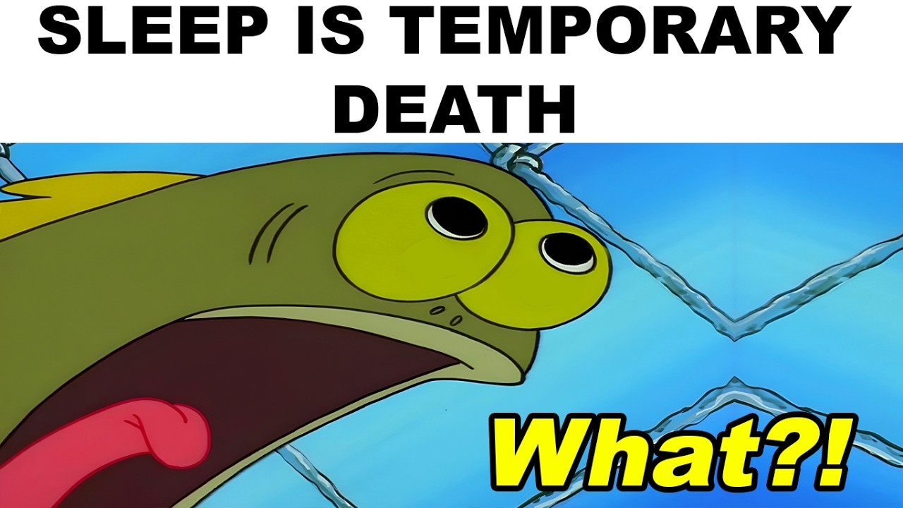 memes that melt your brain
