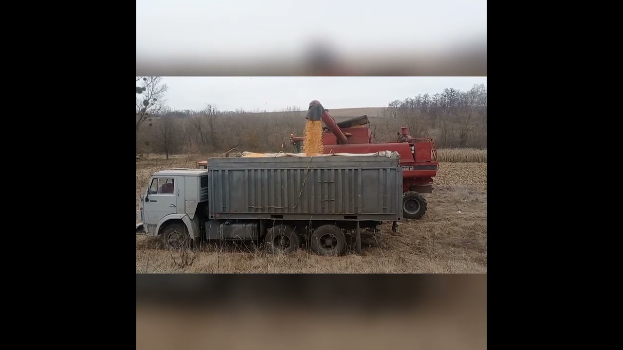 CASE 2166