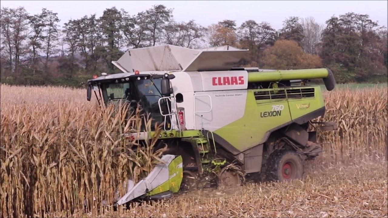 Claas Lexion 760 Terra Trac beim Mais dreschen!