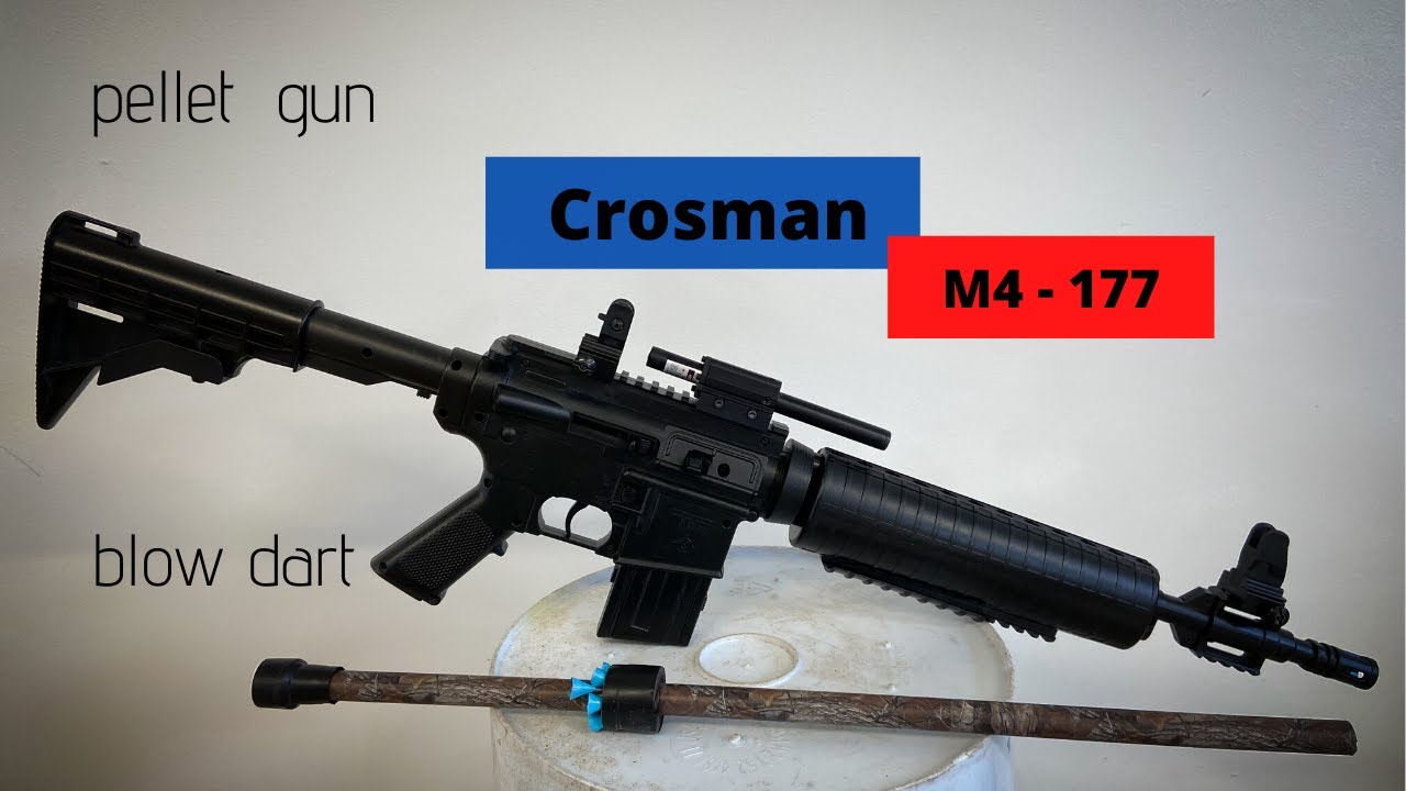 Crosman M4 - 177 review and shoot and blow dart
