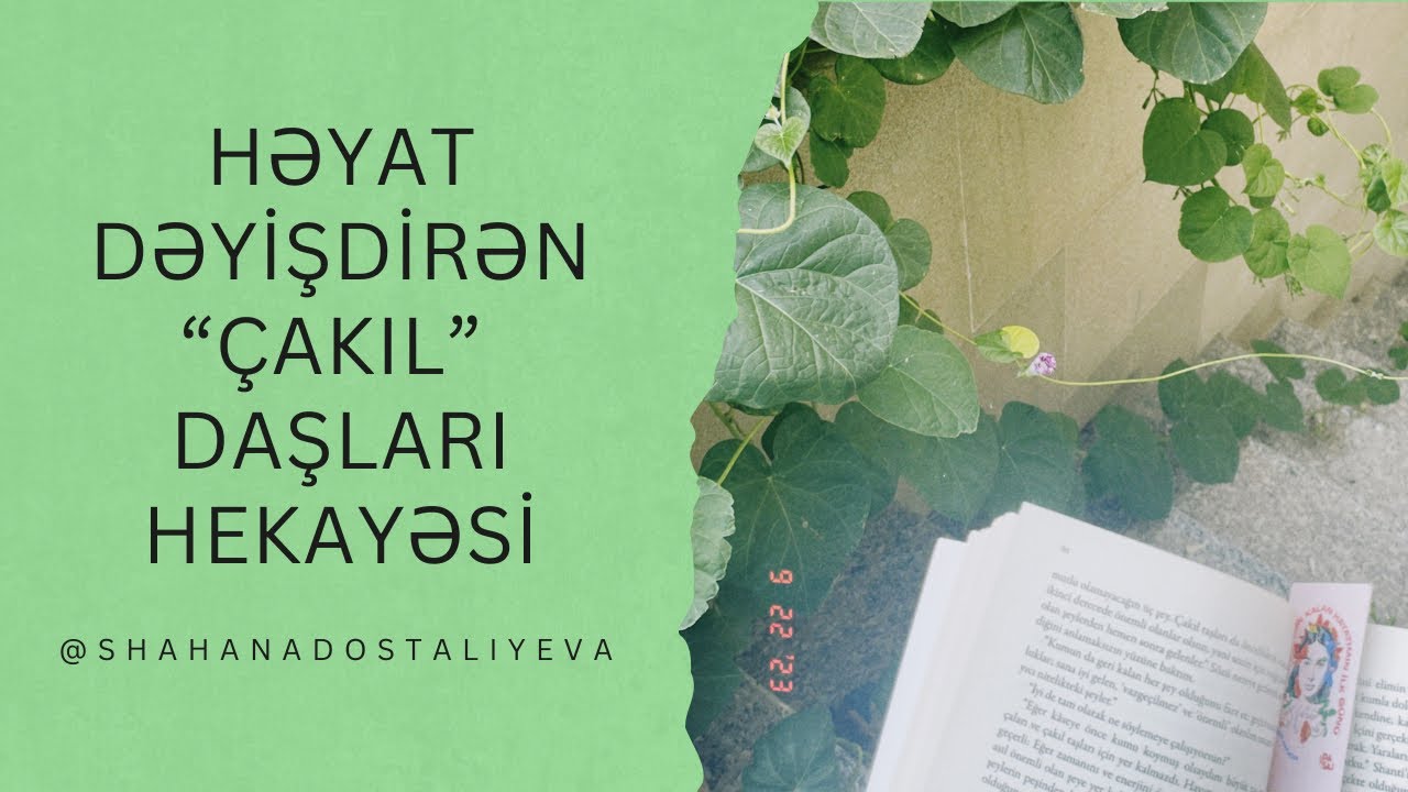 Həyat Dəyişdirən “Çakıl” Daşları Hekayəsi