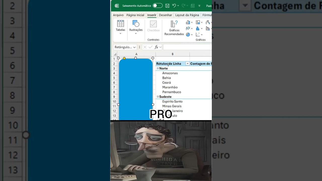 Como Criar um Filtro Bonito no Excel!